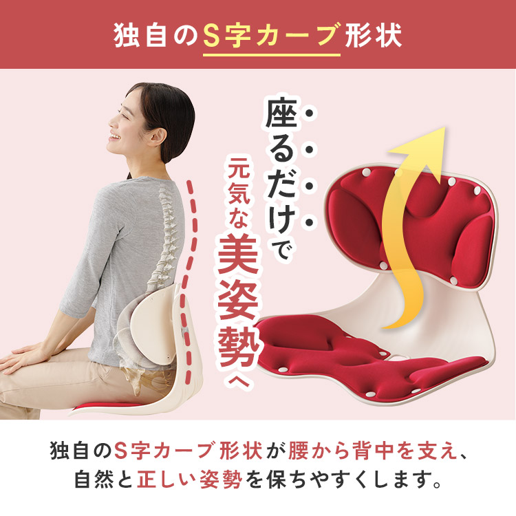 単品】腰らくアジャストチェア｜テレ東マート