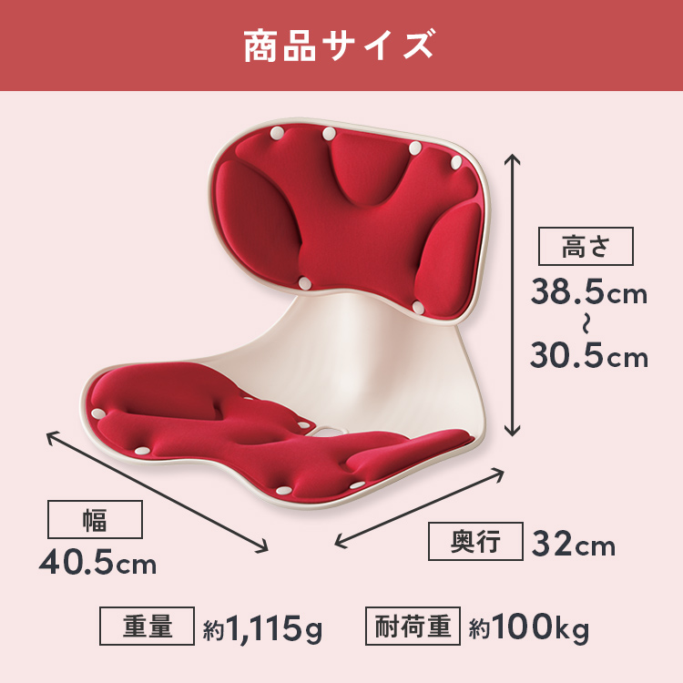 単品】腰らくアジャストチェア｜テレ東マート