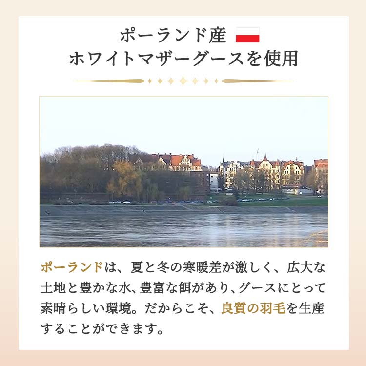 ポーランド産マザーグース6つ星羽毛掛け布団とは？｜テレ東マート