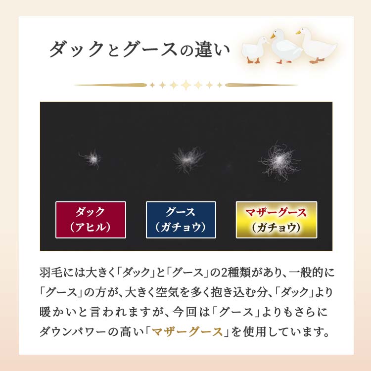 ポーランド産マザーグース6つ星羽毛掛け布団とは？｜テレ東マート